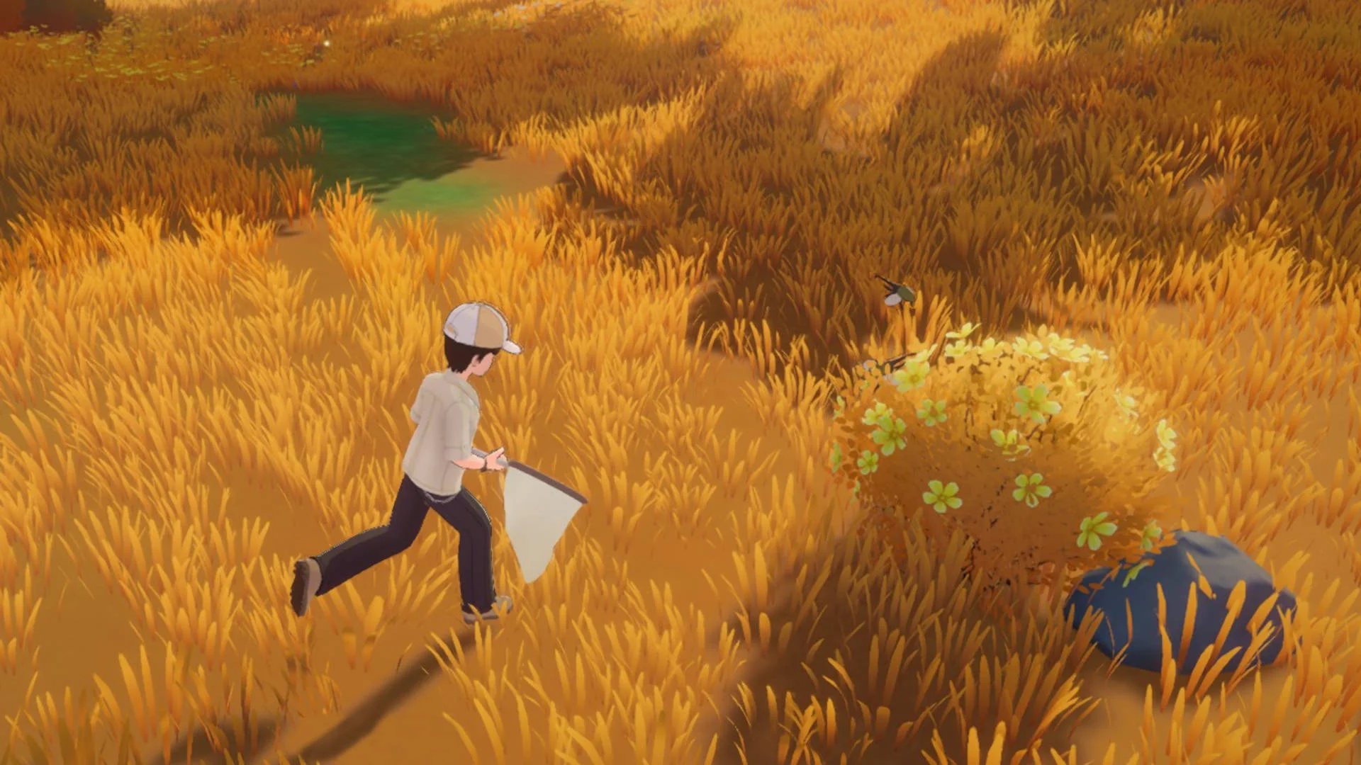 Гайд по ловле насекомых в Starsand Island — полный список жуков