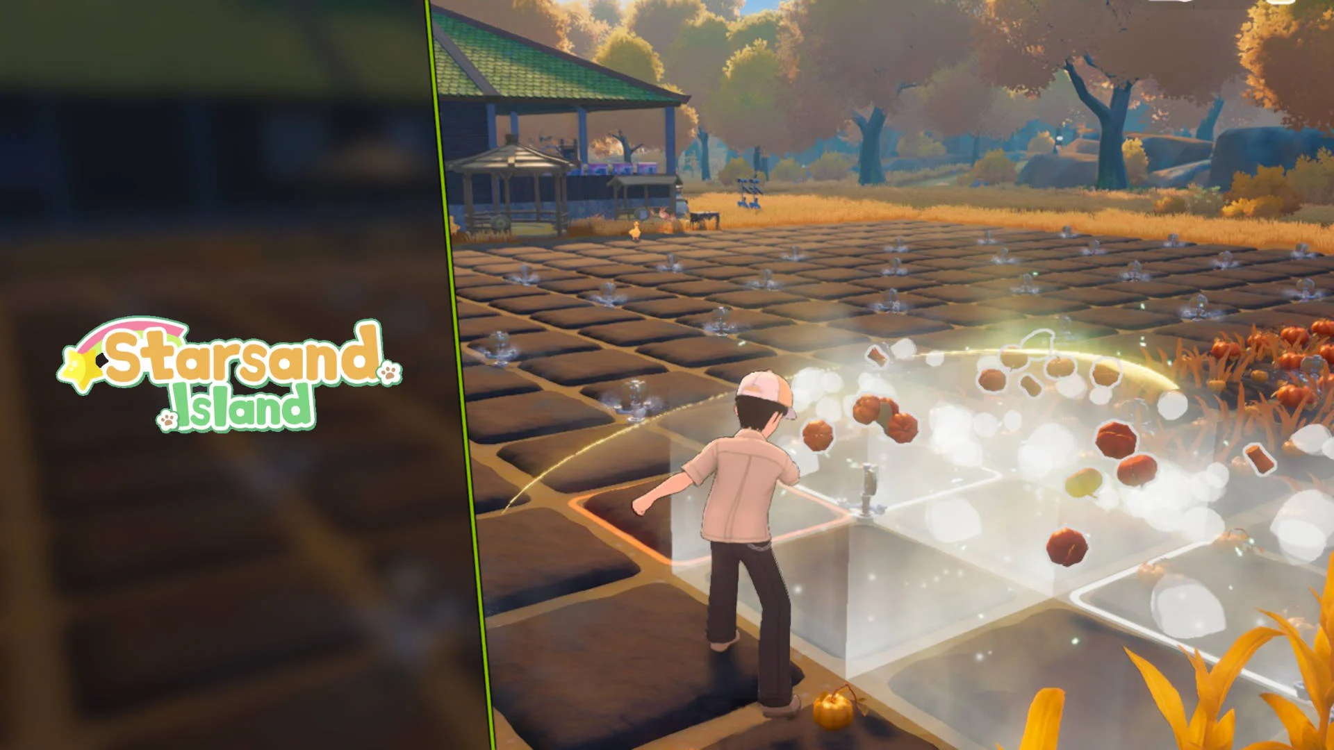 Гайд для новичков в Starsand Island — советы и первые шаги